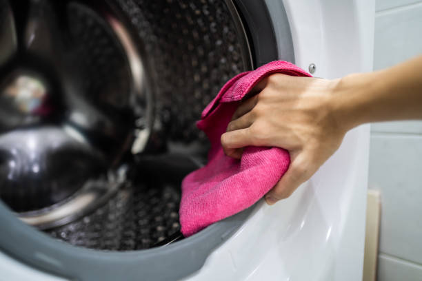 Westport, IN Mold Removal Company
