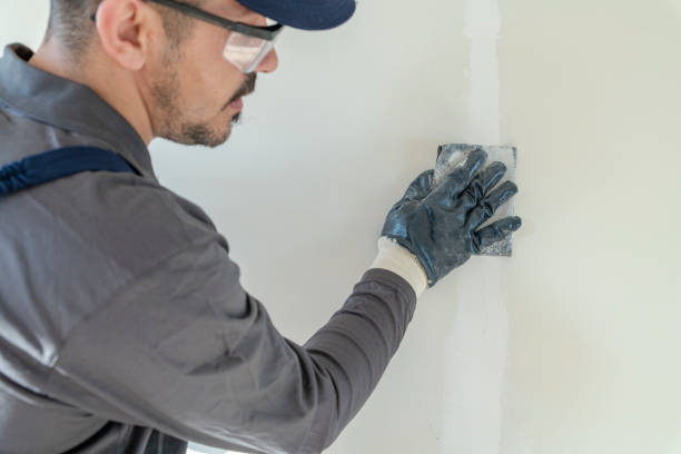 Best Black Mold Removal  in Westport, IN